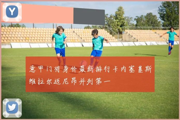 意甲门将身价最新排行卡内塞基斯维拉尔迈尼昂并列第一