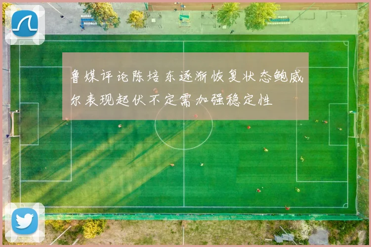 鲁媒评论陈培东逐渐恢复状态鲍威尔表现起伏不定需加强稳定性