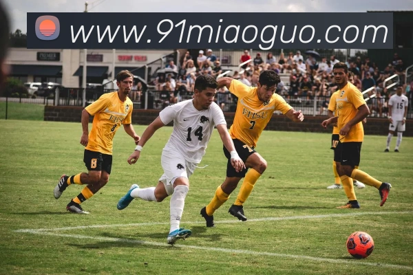 爱游戏ayx官方网页发展历程